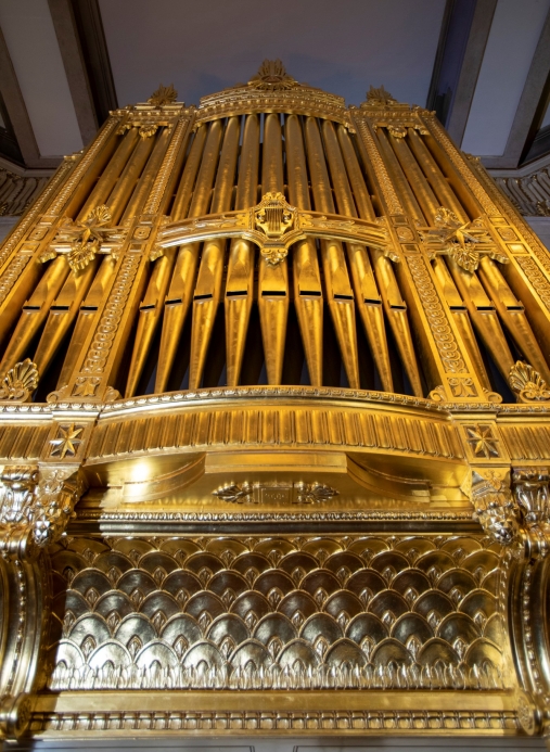 A picture of an organ